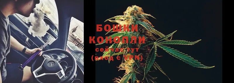 Бошки Шишки White Widow  Богородск 